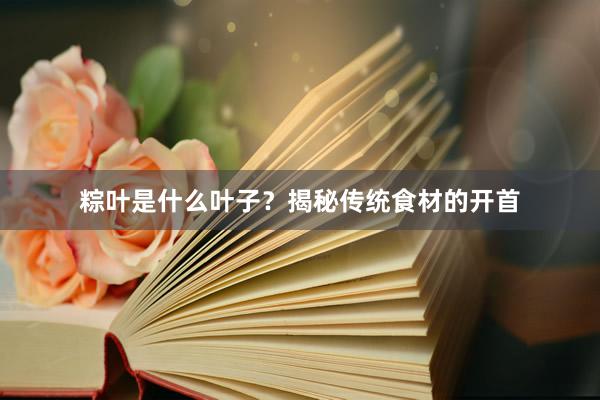 粽叶是什么叶子？揭秘传统食材的开首