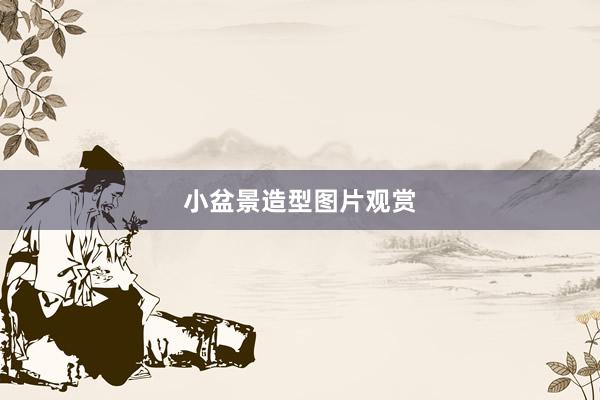 小盆景造型图片观赏