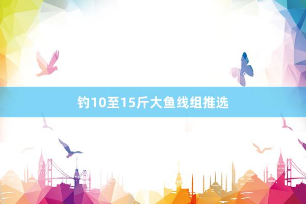 钓10至15斤大鱼线组推选